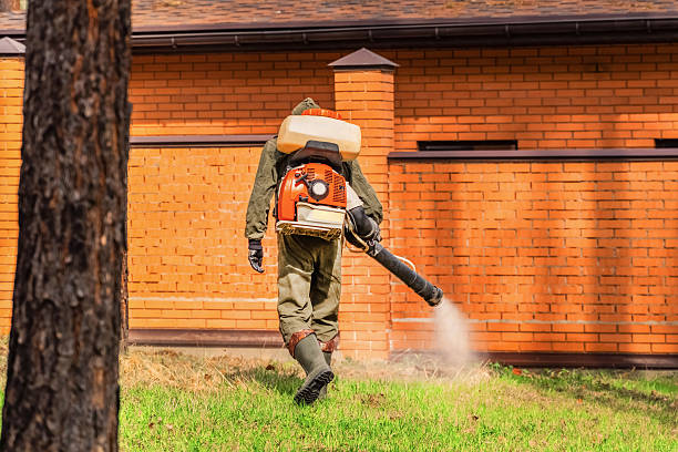 Trusted Mosquito Control service in Runaway Bay, TX - Nex Pest Control